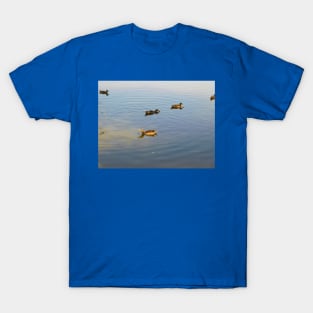 Nice day for a swim T-Shirt